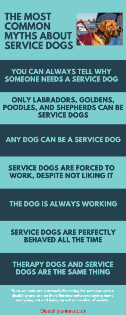 The Most Common Myths About Service Dogs